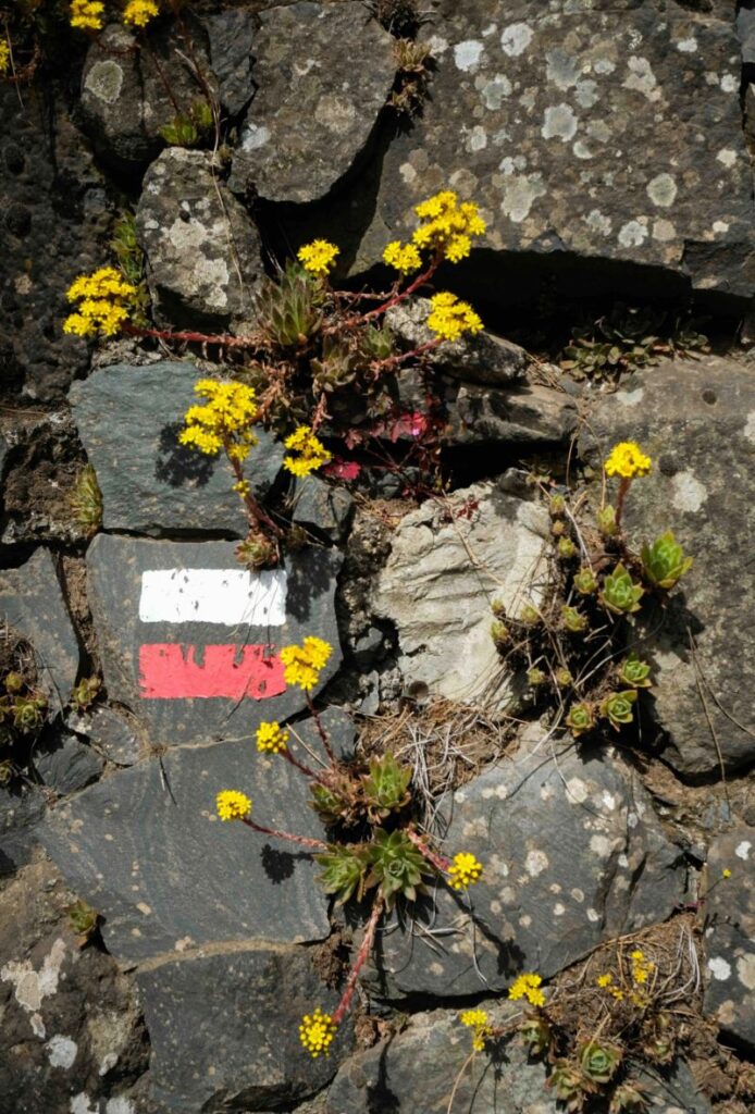 Señalización del sendero en Gran Canaria