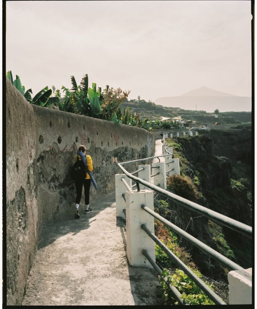 Camino junto a plataneras de camino a una cala con la figura de El Teide de fondo