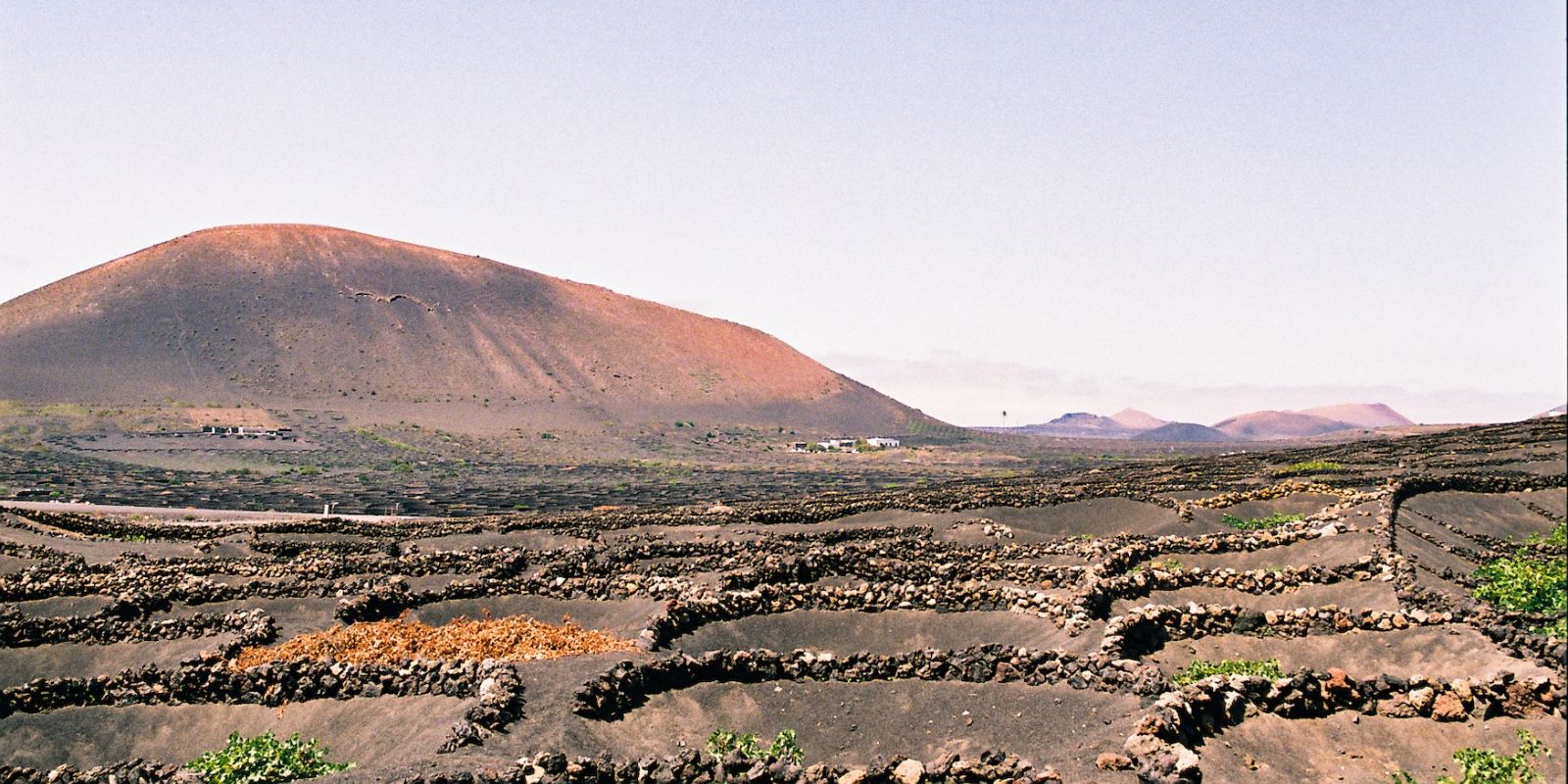 Paisaje de La Geria en Lanzarote
