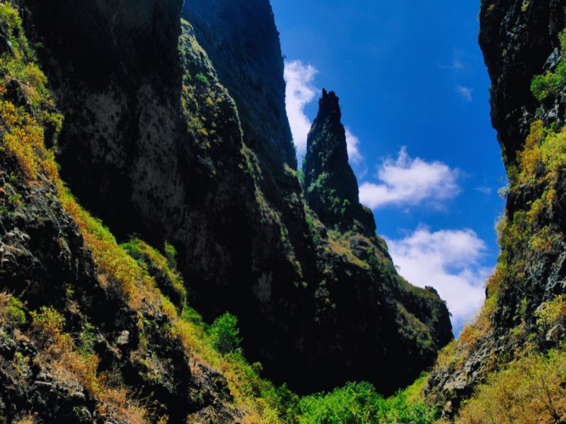 Vegetación y formaciones de roca en el Barranco del Infierno