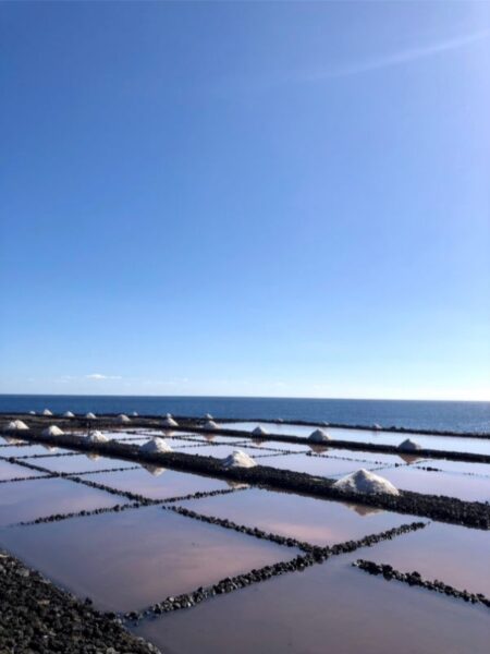 Charcas de agua donde se produce la sal de Fuencaliente