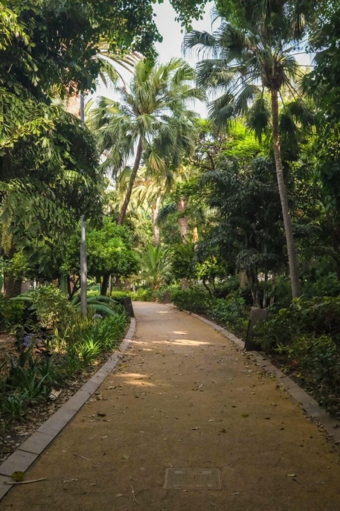 Paseo rodeado de vegetación y palmeras en el Parque García Sanabria