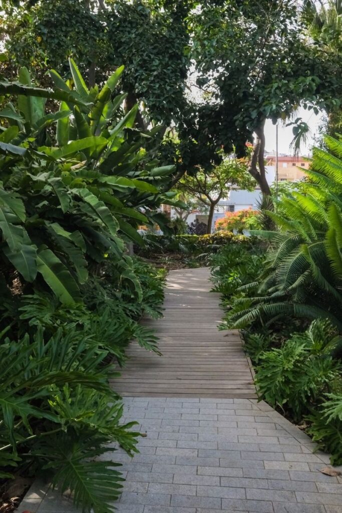 Paseo de madera entre la vegetación del Parque García Sanabria