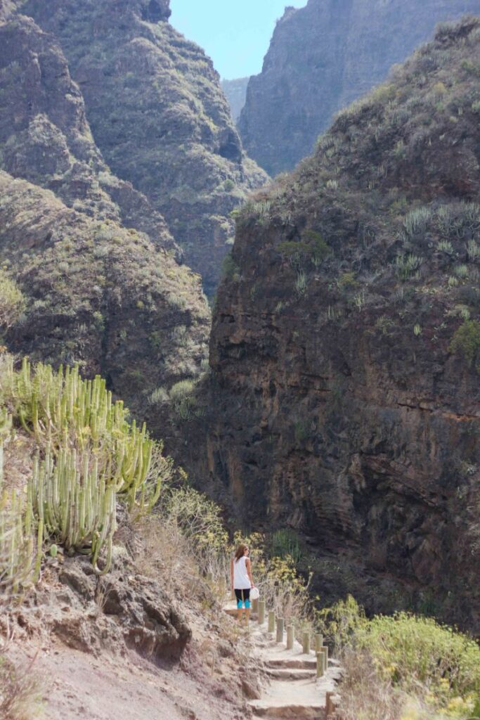 Sendero de entrada al Barranco del Infierno