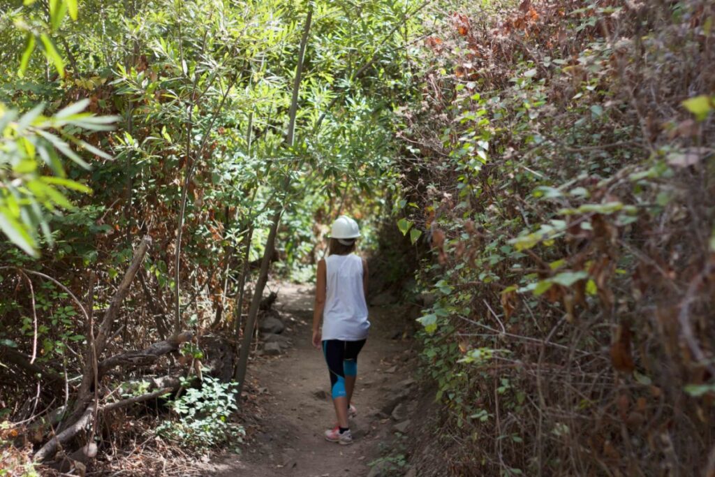 Sendero entre la vegetación del Barranco del Infierno