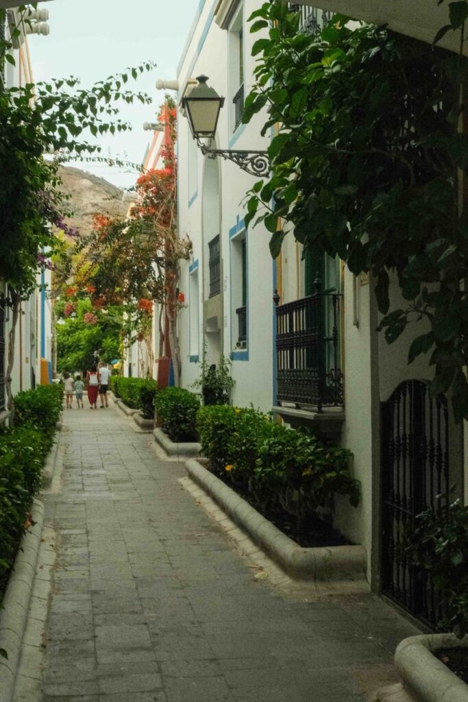 Callejuela en el Puerto de Mogán