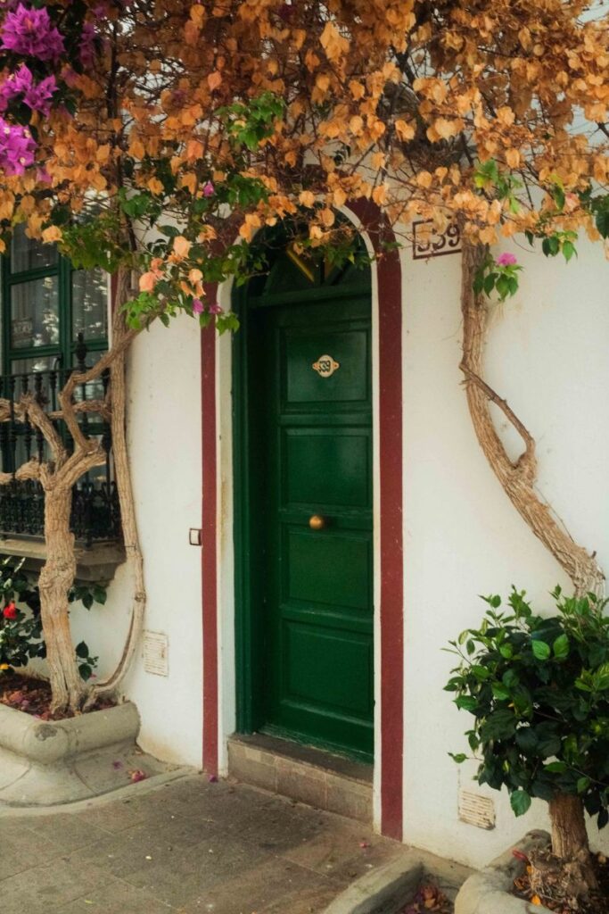 Puerta verde de una casa en Puerto Mogán