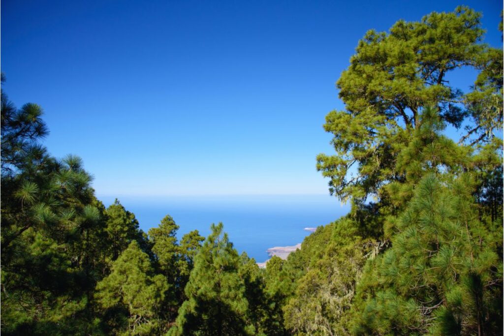 Parque Natural de Tamadaa