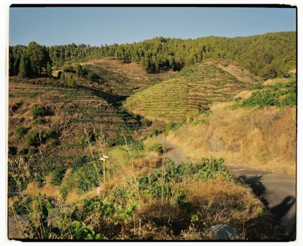 Paisaje rural en Canarias